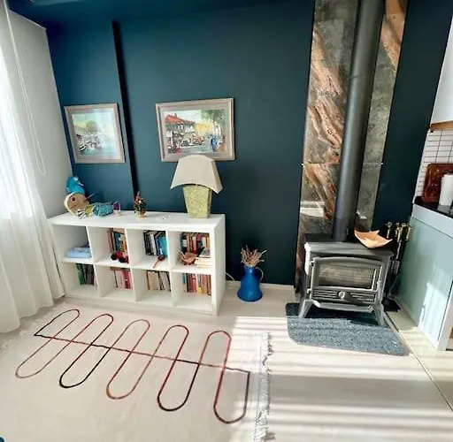 Deniz Manzarali Evi *